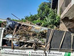 Best Carpet Removal and Disposal  in Walton, KY